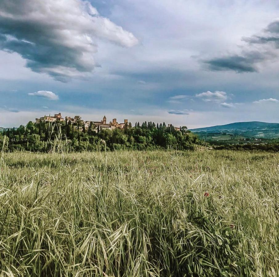 Bed and Breakfast Antica Torre Del Borgo Чертальдо Экстерьер фото